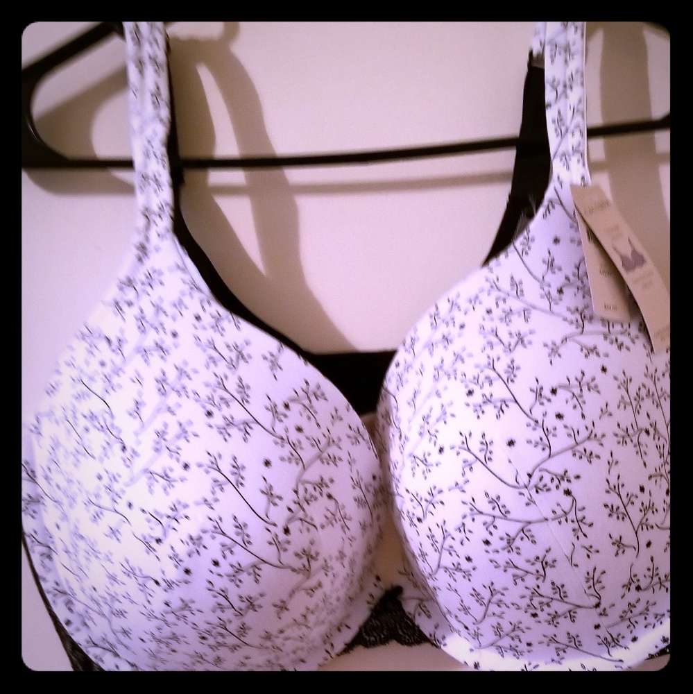 Cacique Lane Bryant bra